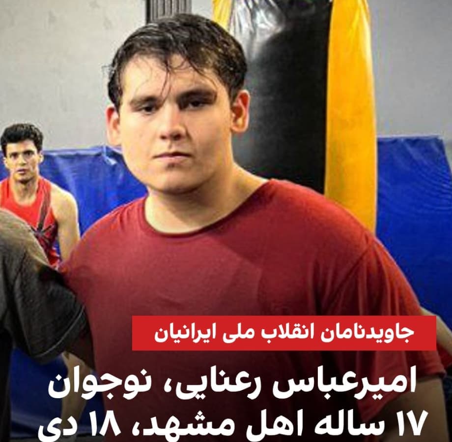 امیرعباس رعنایی