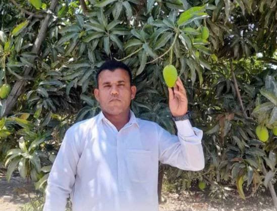 ایوب رسانه
