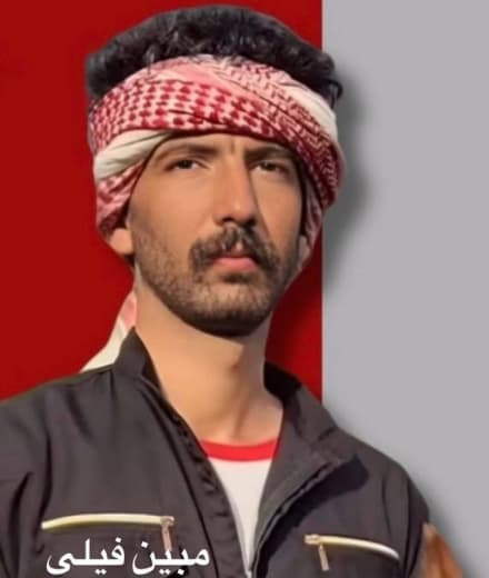 مبین فیلی