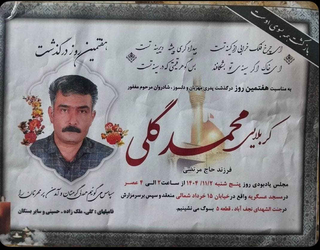 محمد گلی