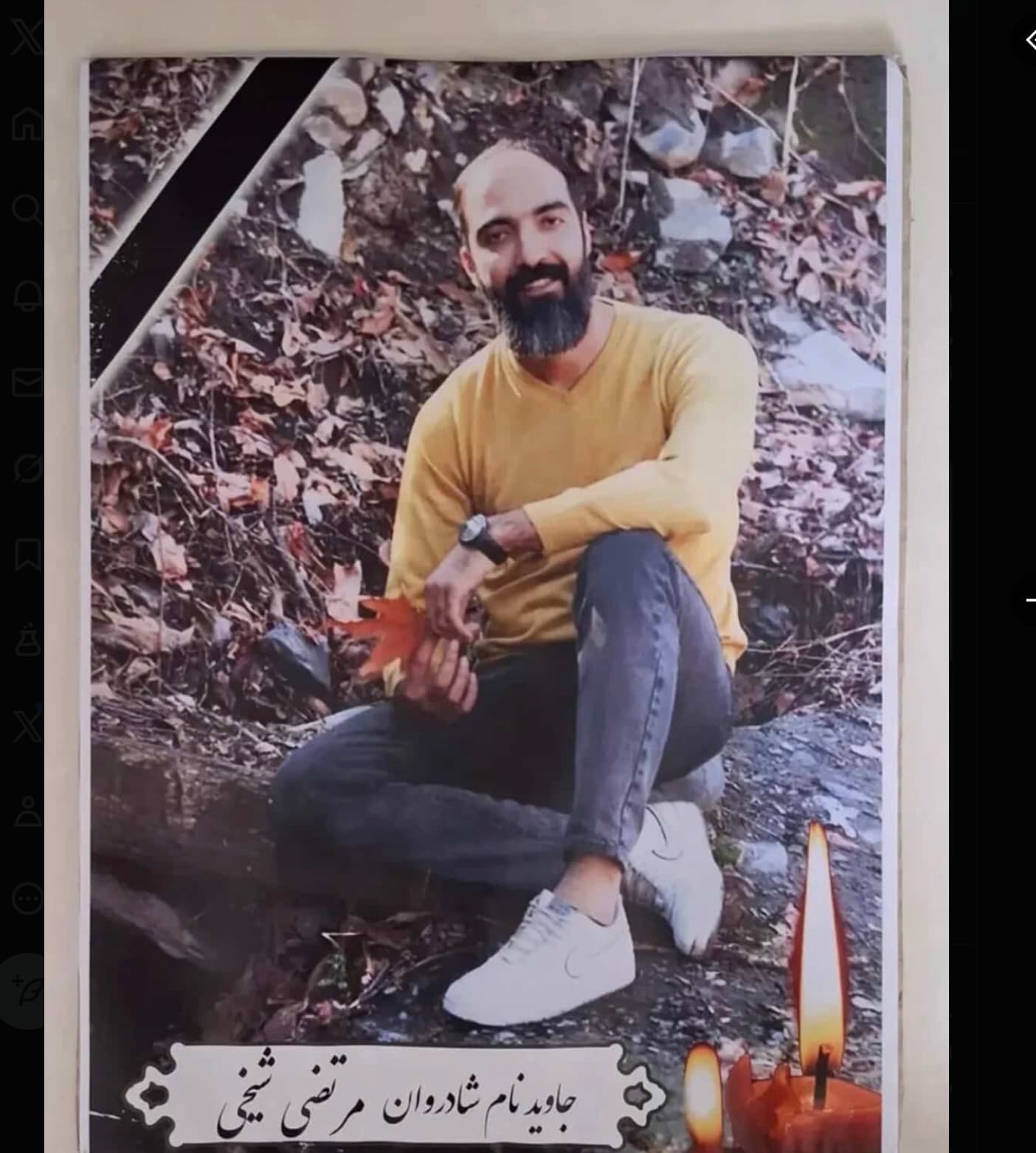 مرتضی شیخی