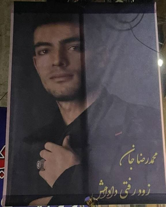 محمدرضا سیفی
